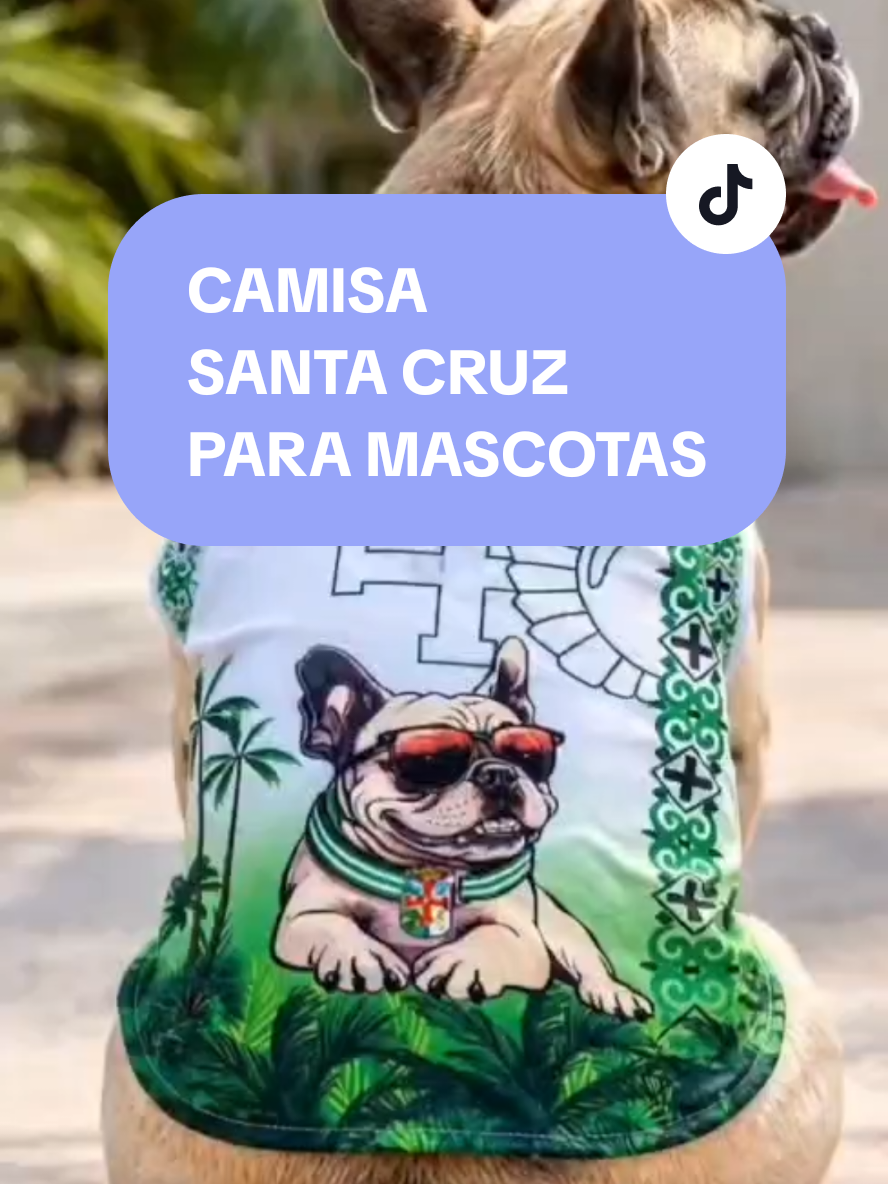 @FityGuau Moda canina y Felina