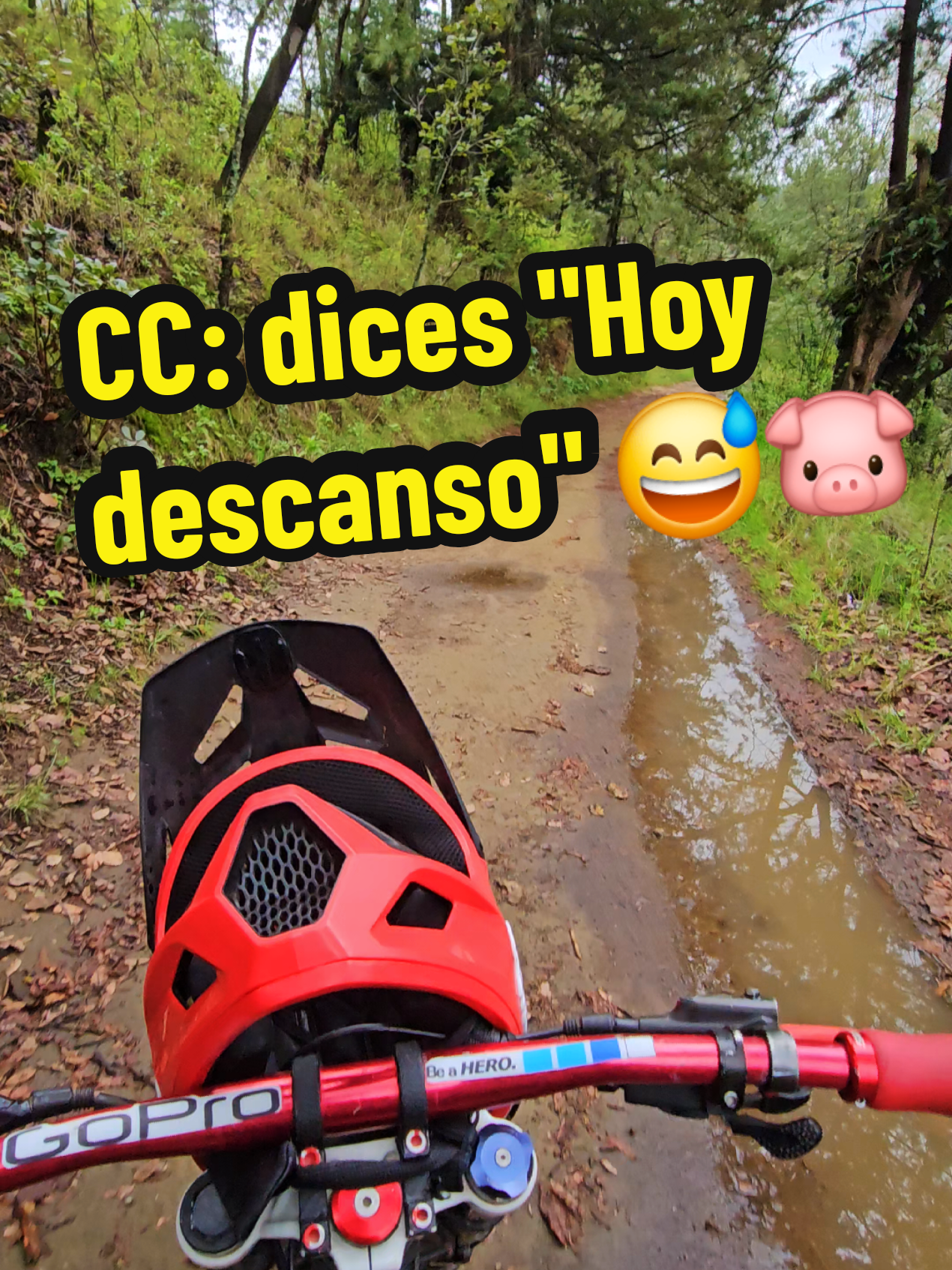 @Víc Gitarre 😎🎸