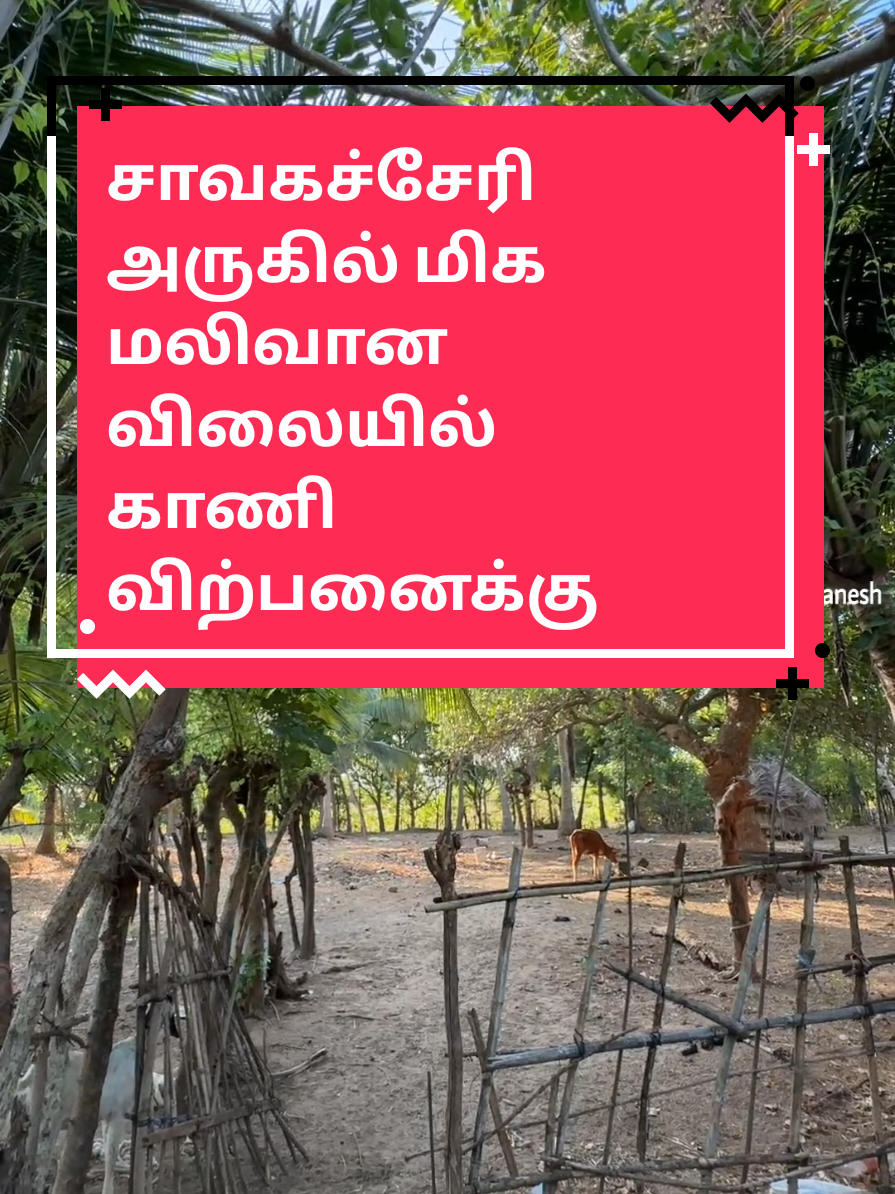 @Sun Thanesh