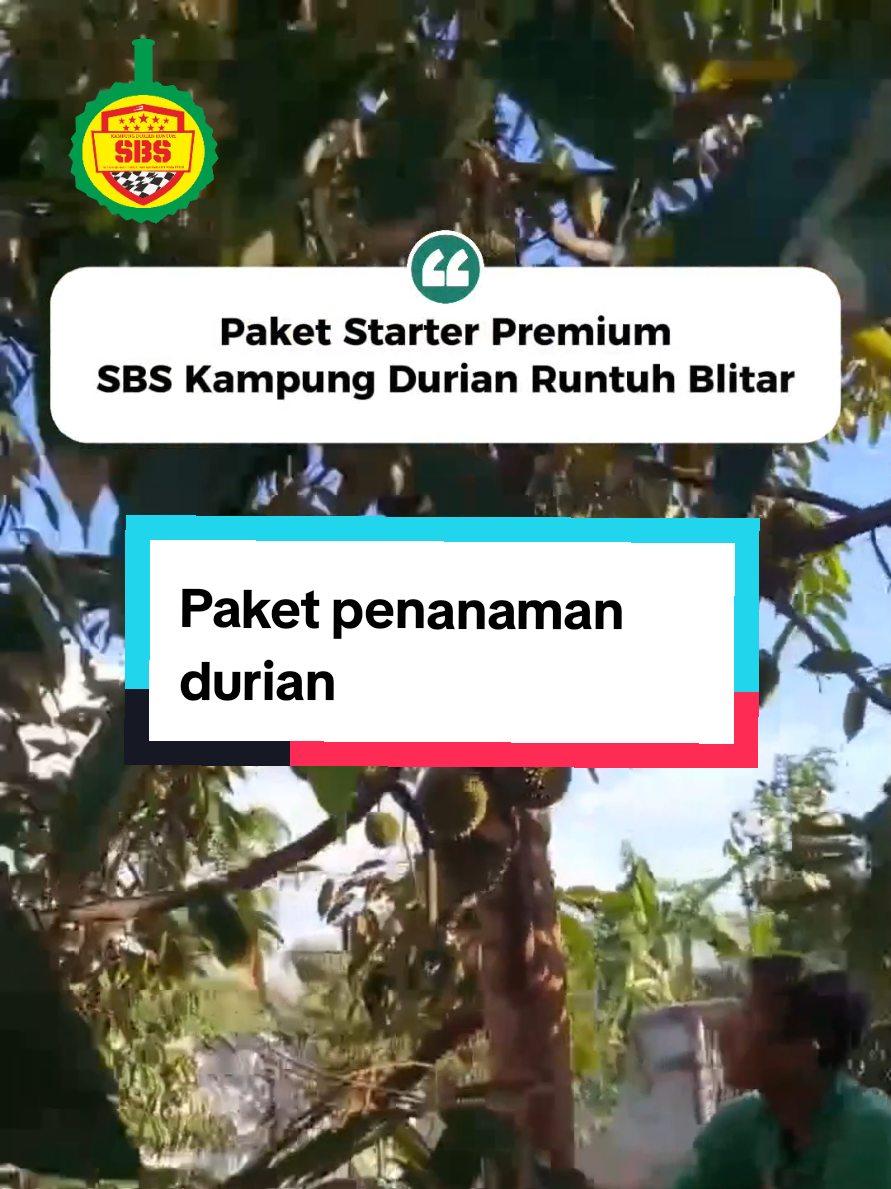 @Produksi Buah_SBS