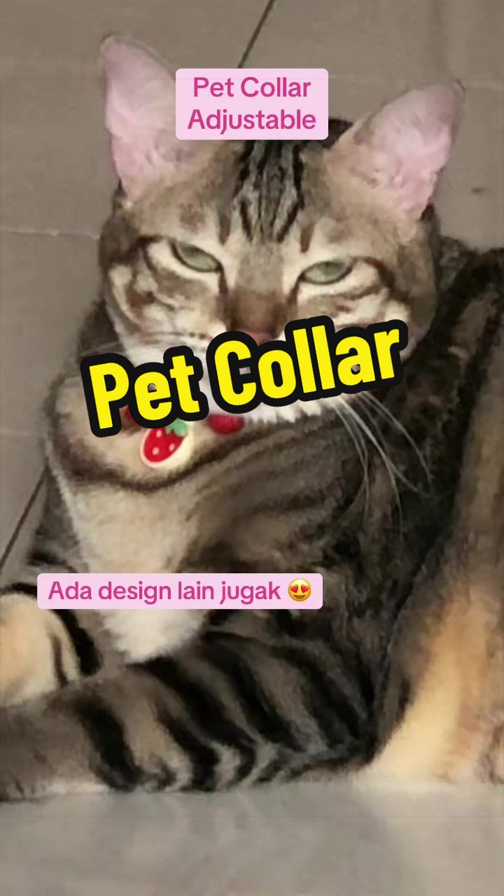 @𐙚 sᴜʀɪᴀ 𐙚