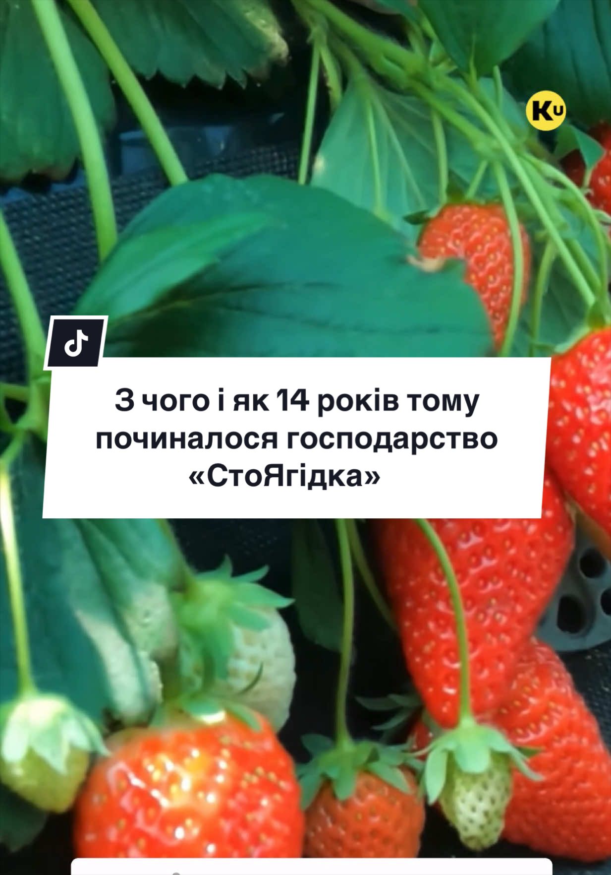 @Ku 🟨🟩 Lati &ndash; Agro Ukraine