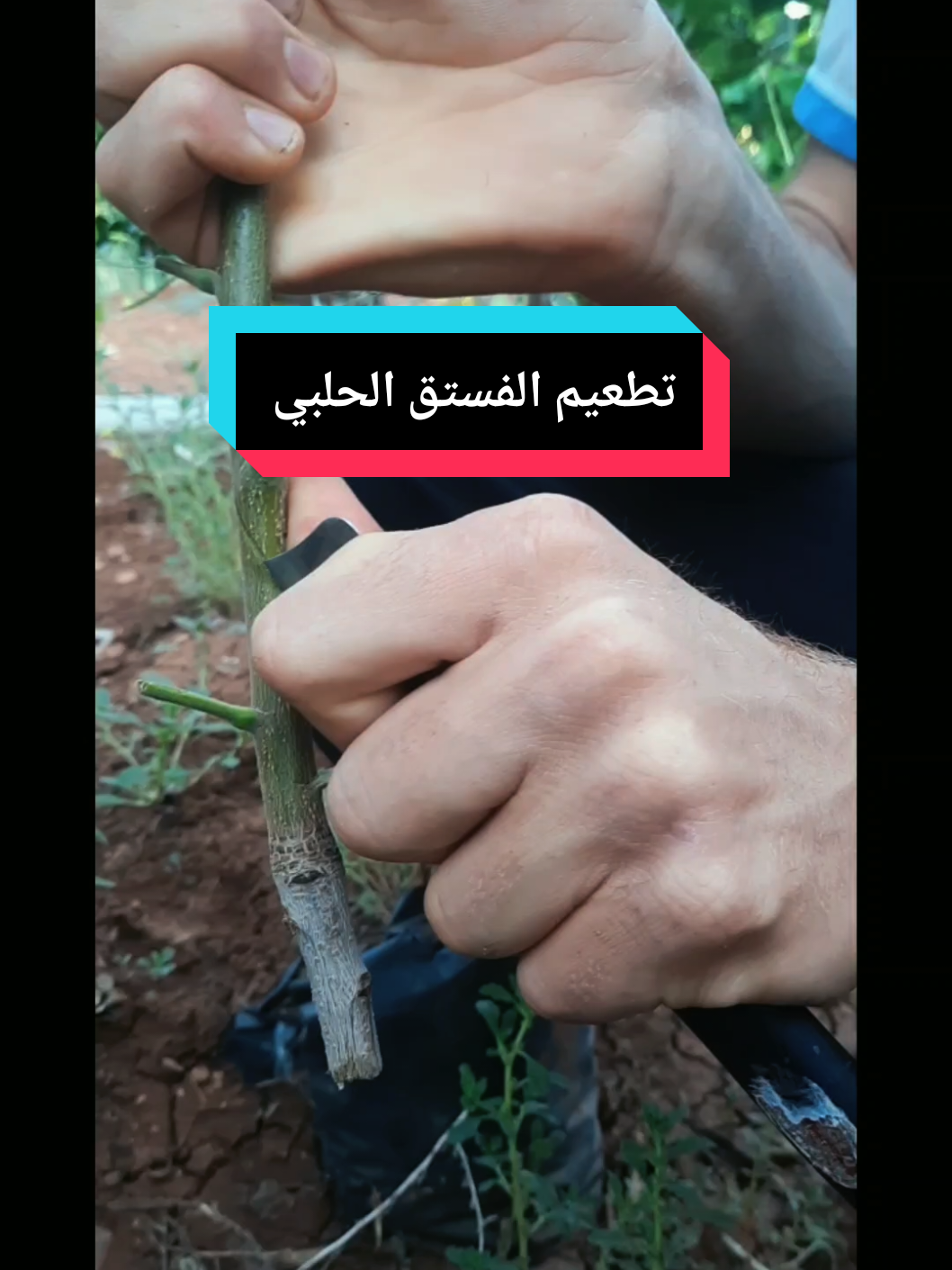 @Khaled.doba