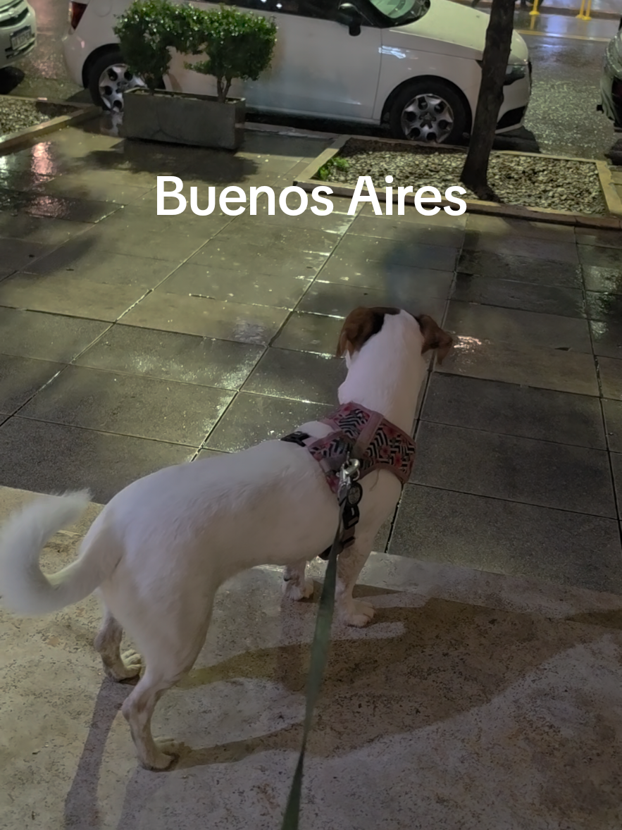 @Somos Teo y Tina