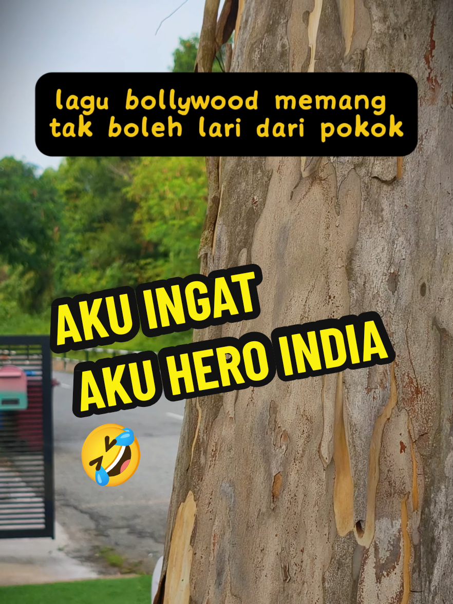 @Walkman Chong