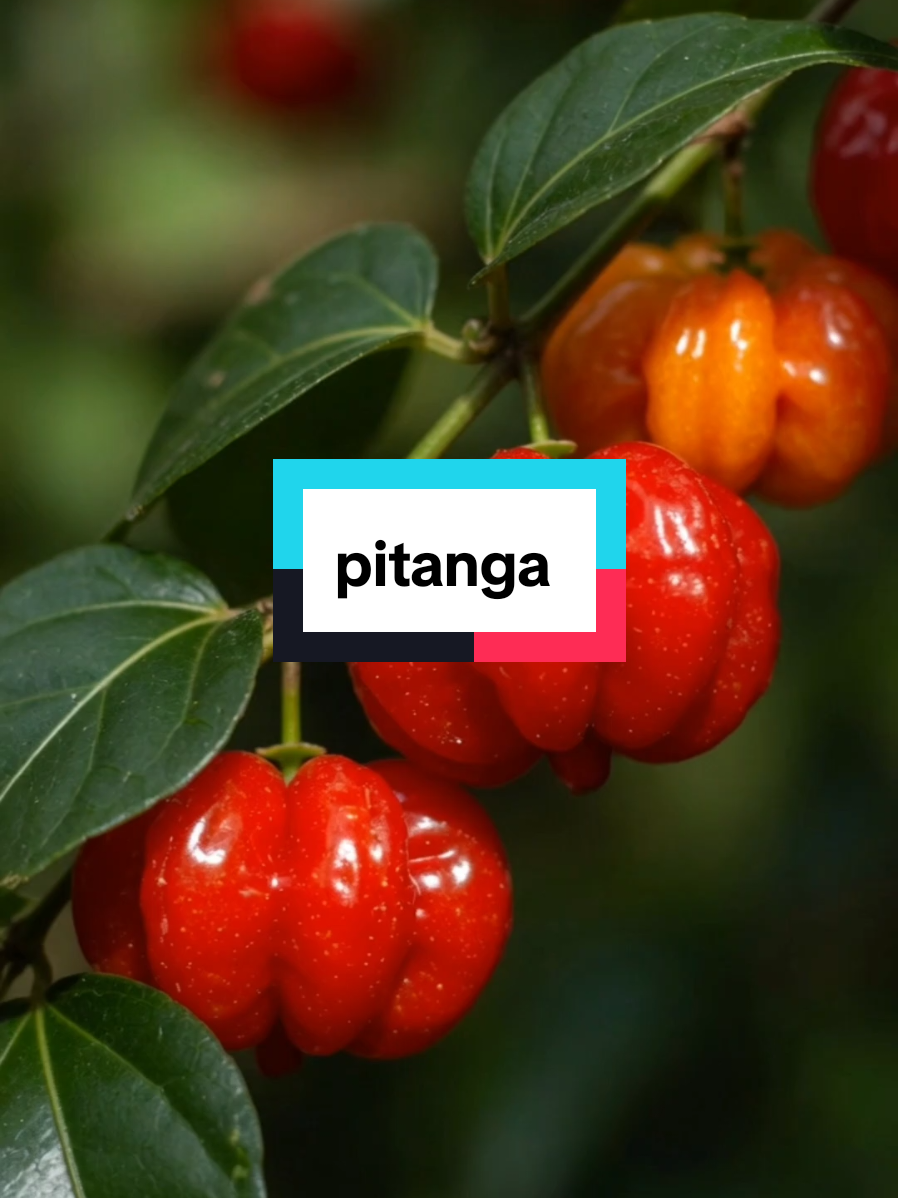 @Dicas e Receitas Naturais