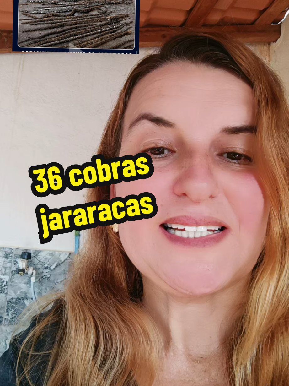 @Elaine Fernandes
