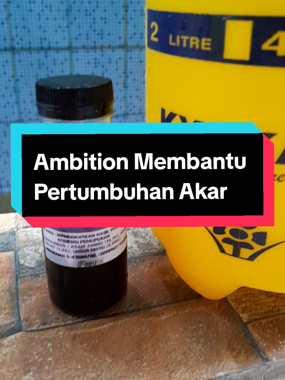 @Ambar healthy herbapedia