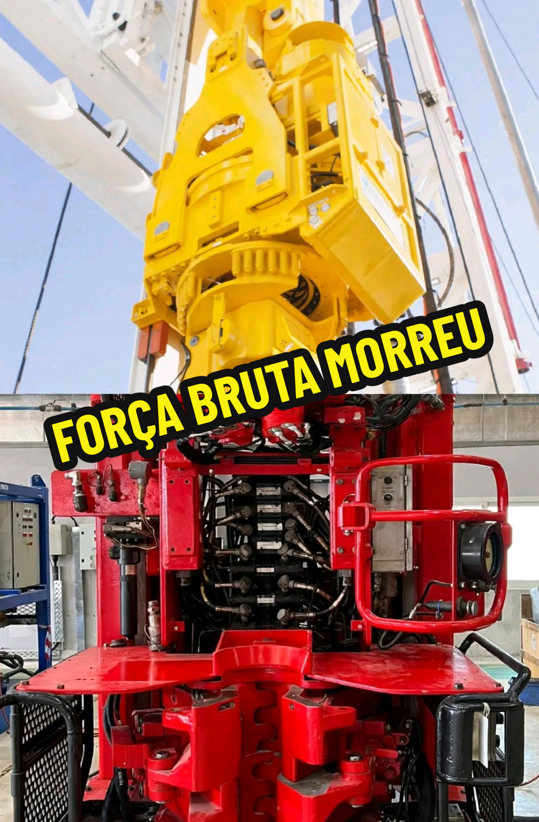 @RAIZ DO SABER
