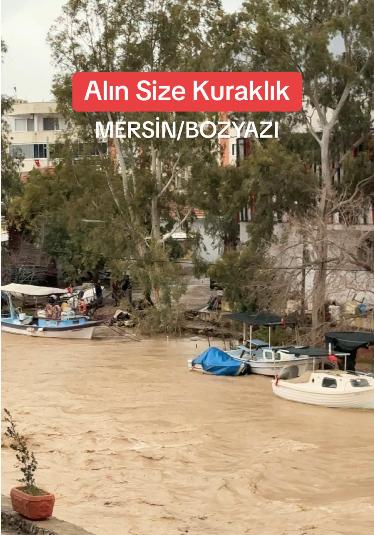@Berhan Şimşekk