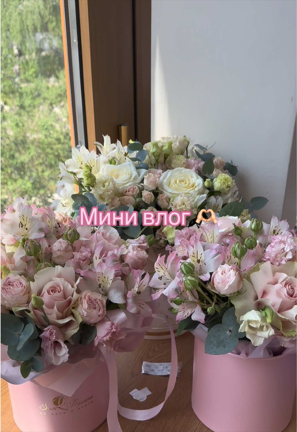 @𐙚varywq