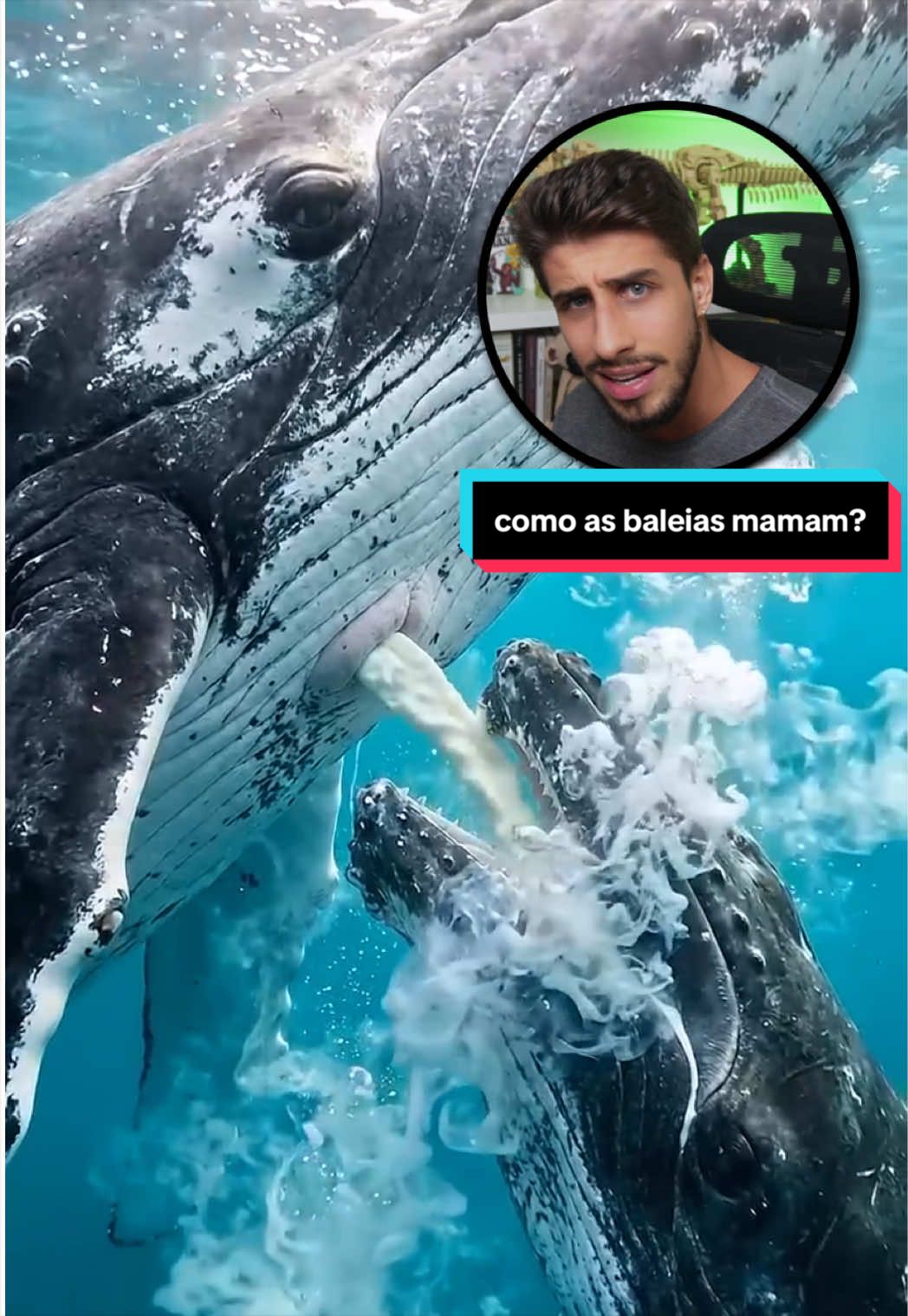 @Yago Stephano