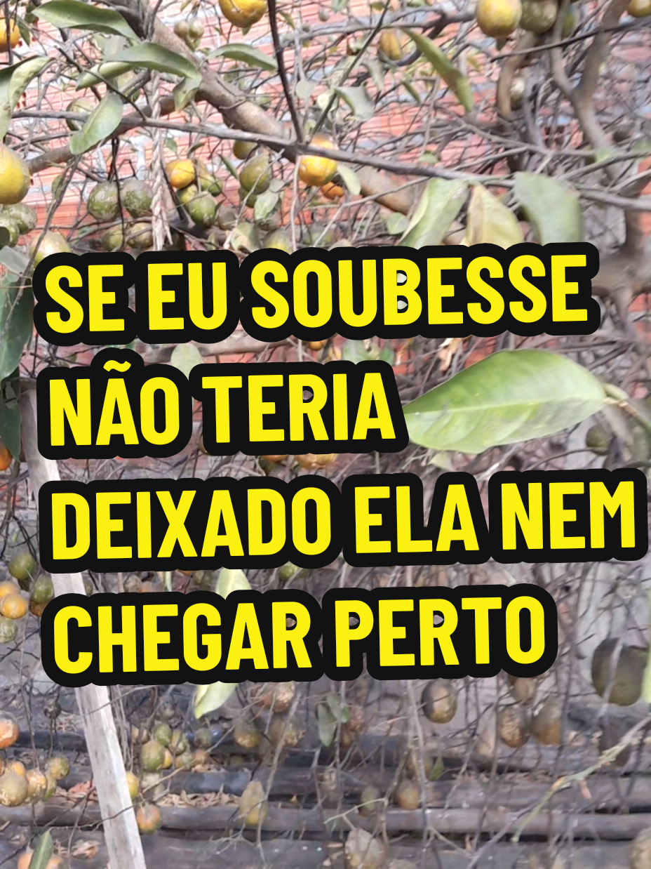 @Marinete Santos
