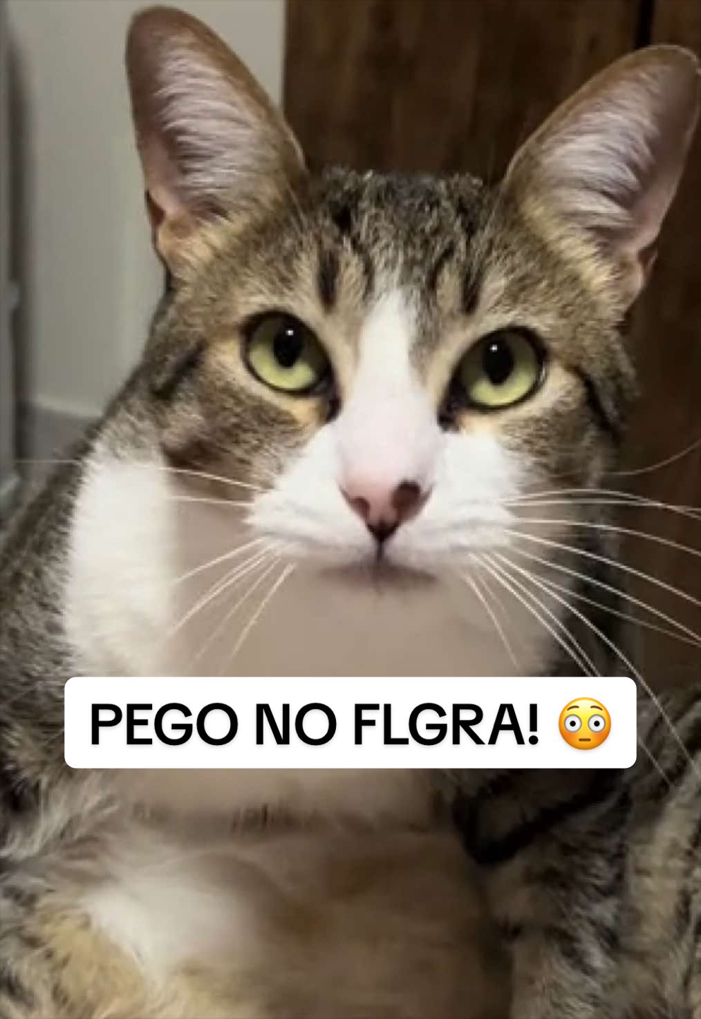 @Mariana Matos ✨