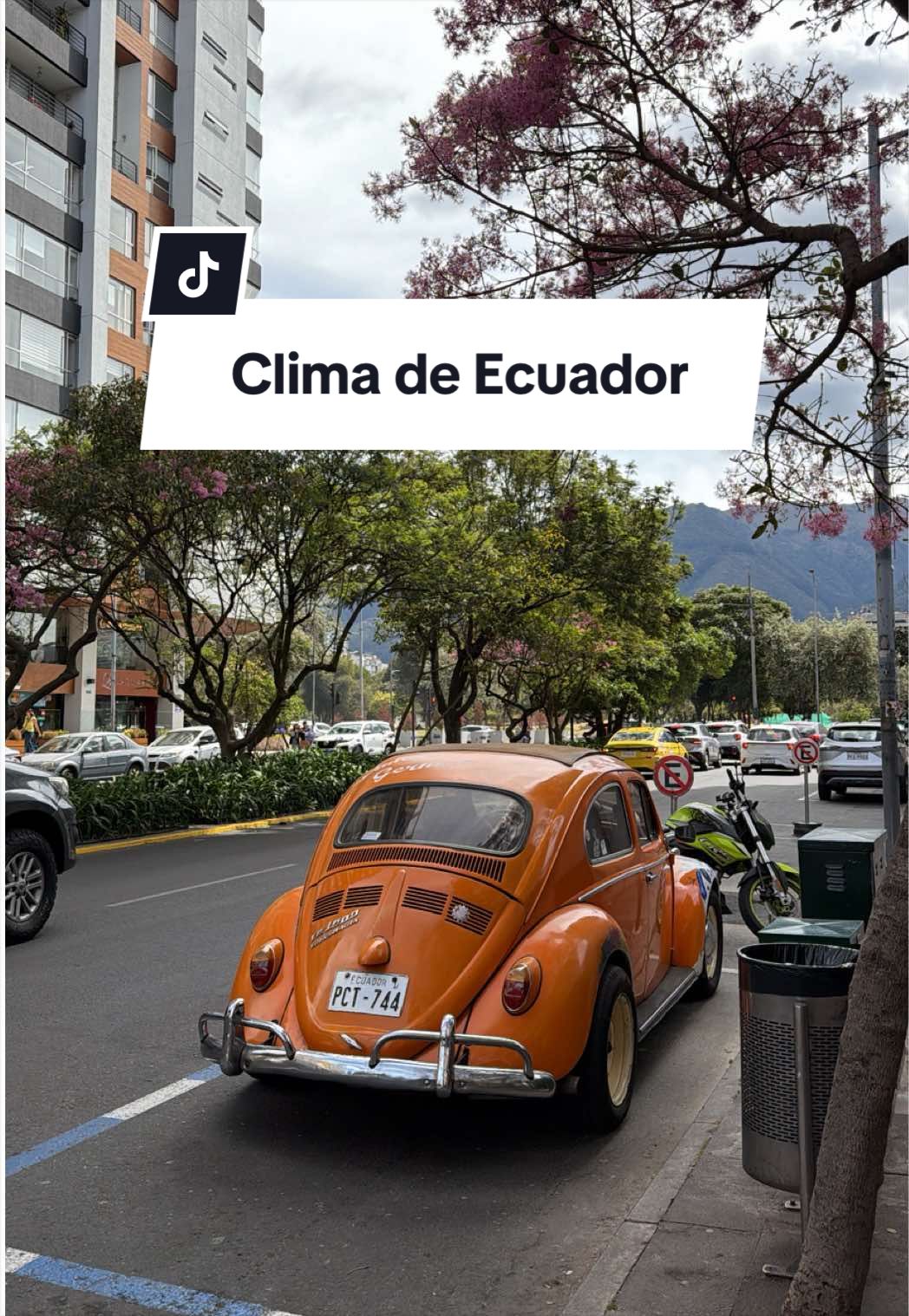 @Luuuortiz