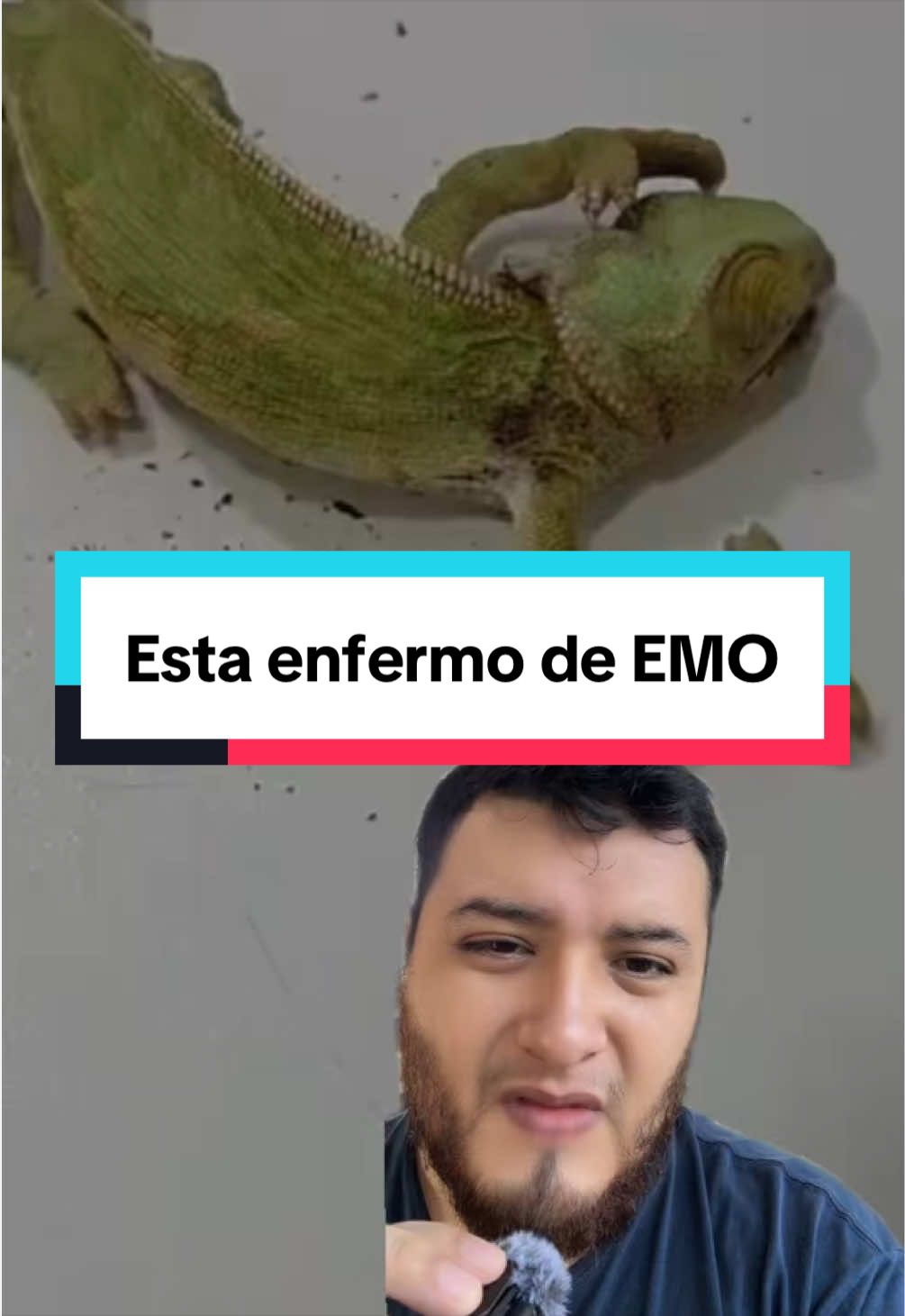 @ReptilMania