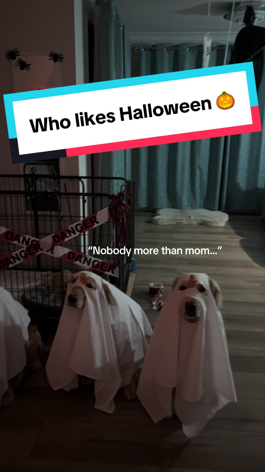 @3goldenretriever