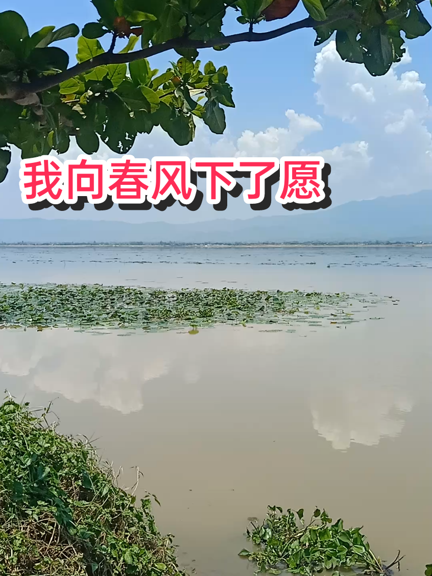 @เฮียชาติขายทุกอย่าง