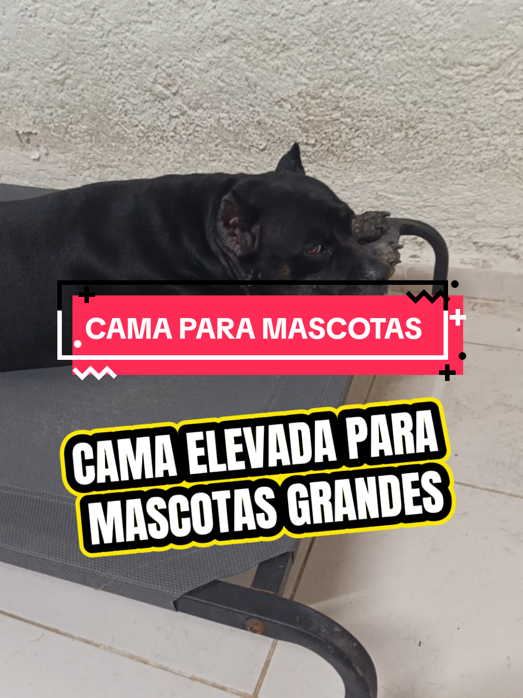 @Mario TBadillo