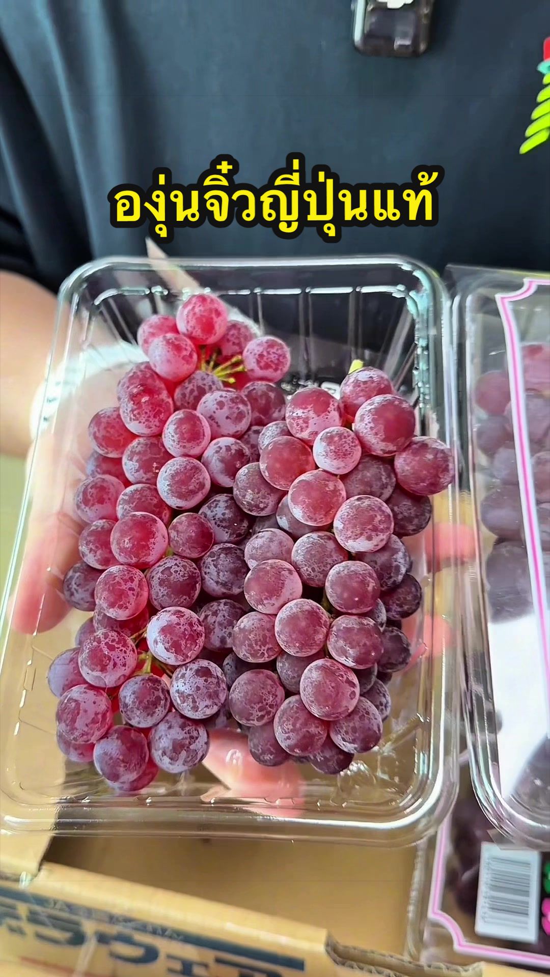 @Madame Fruit ผลไม้ต่างประเทศ