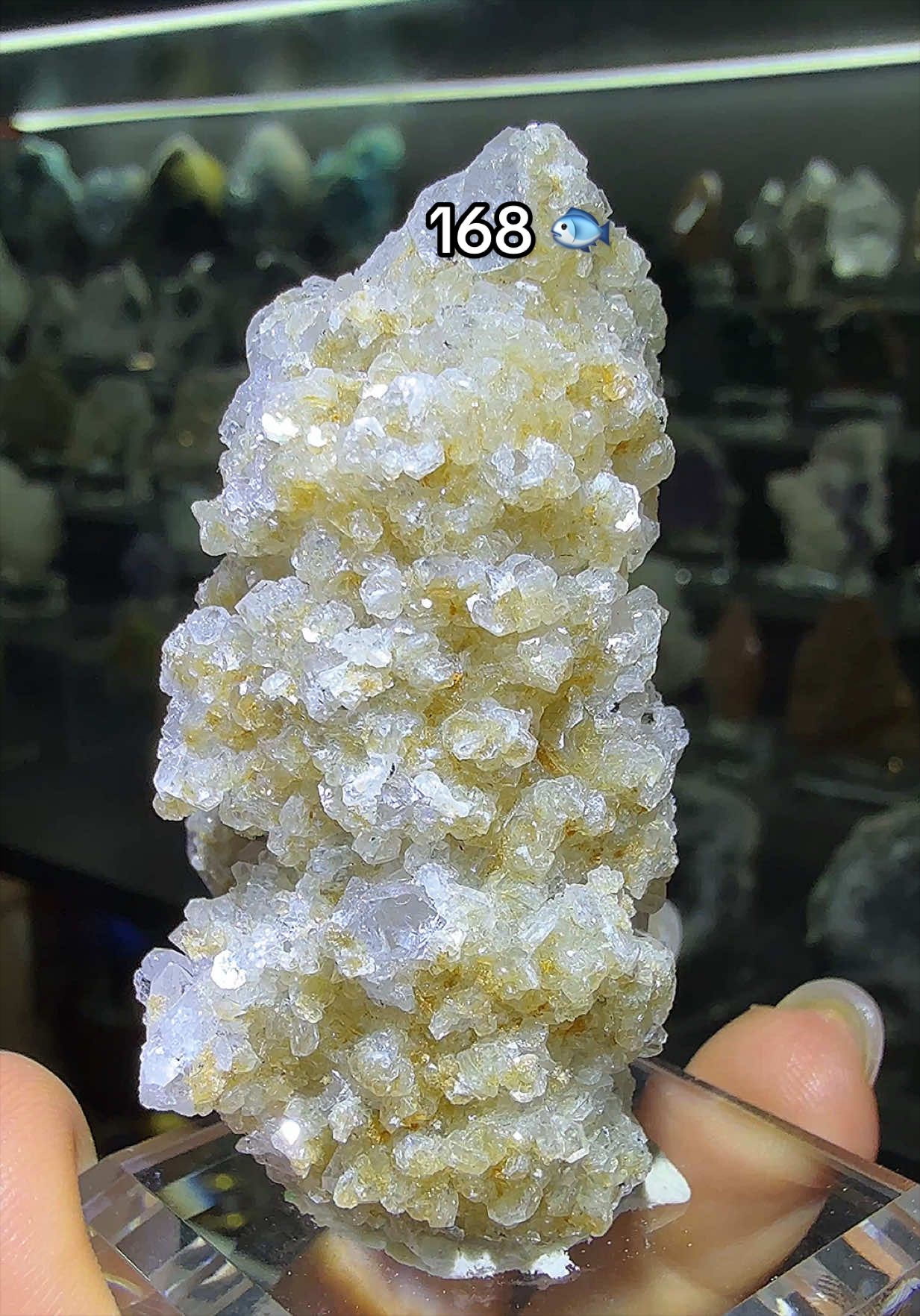 @Halen Crystal