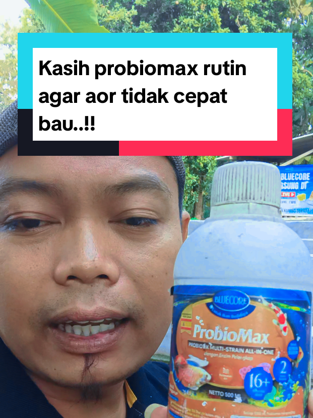 @Kang_Ewi