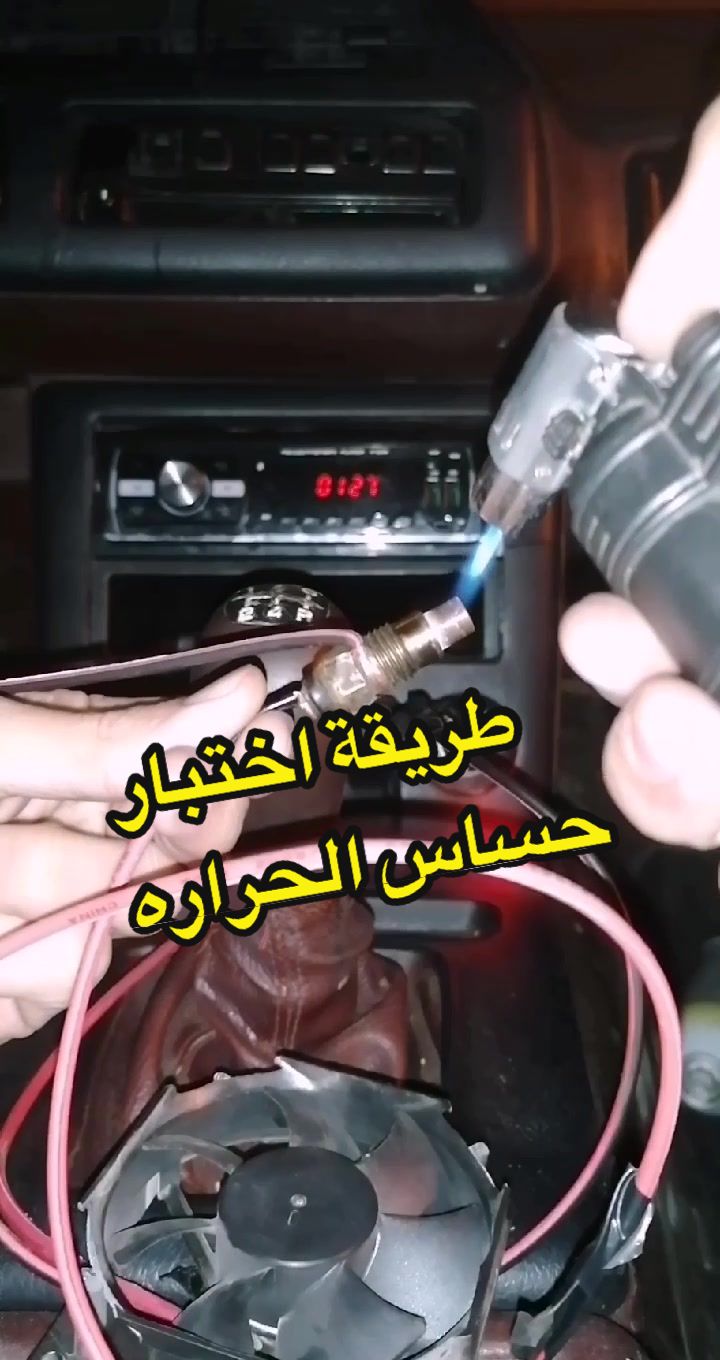 @LD🛠️