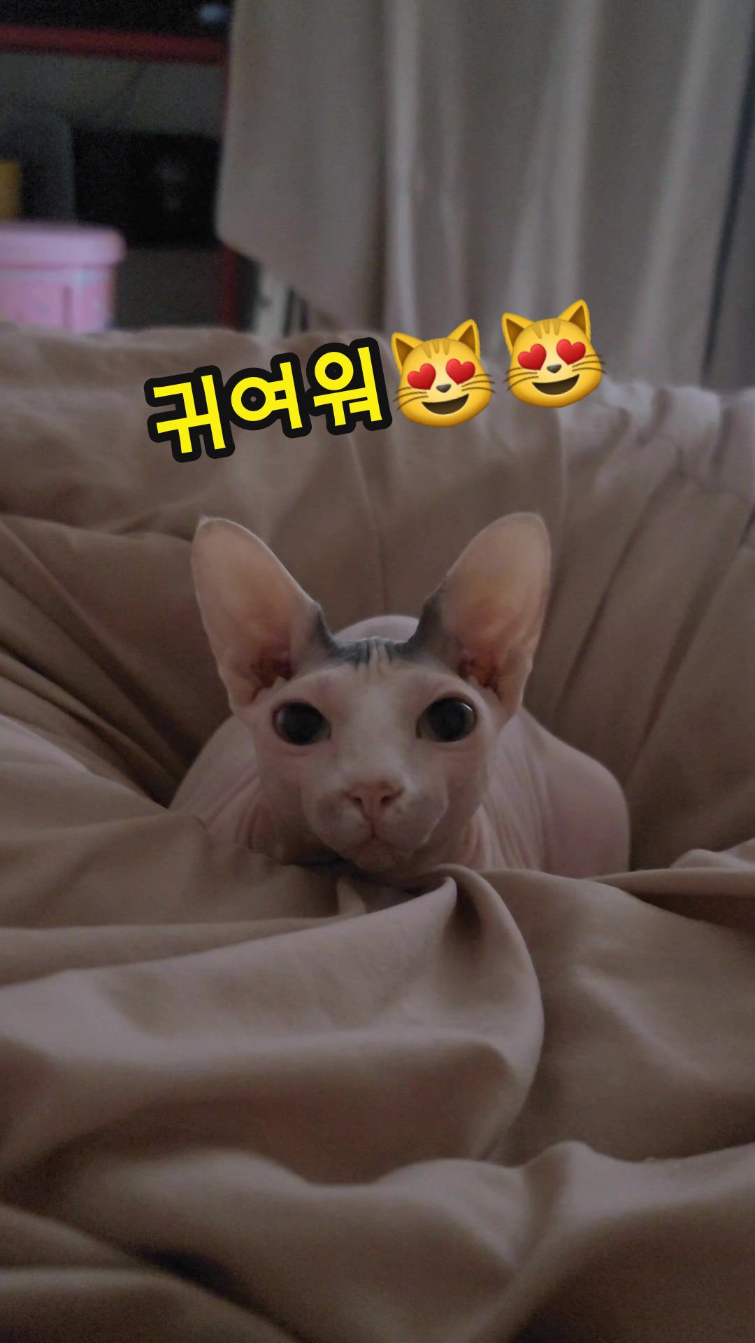@짠주몬