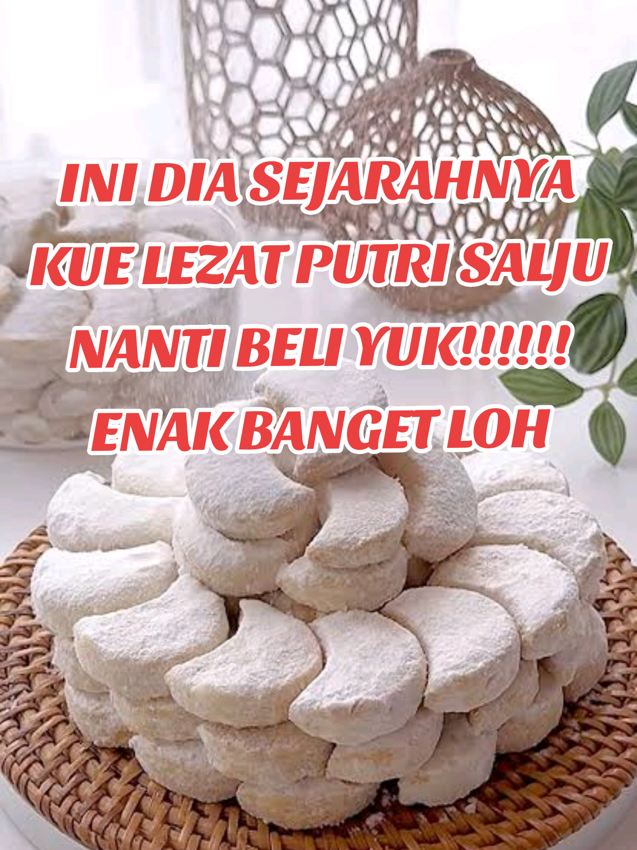 @PENJELAJAH BUMI.
