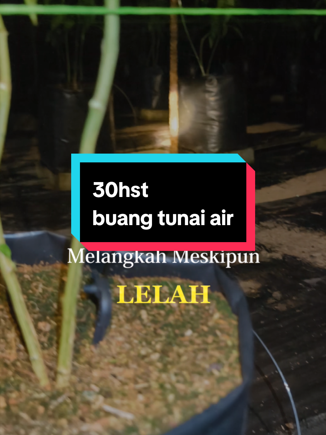 @CiLi BaRa