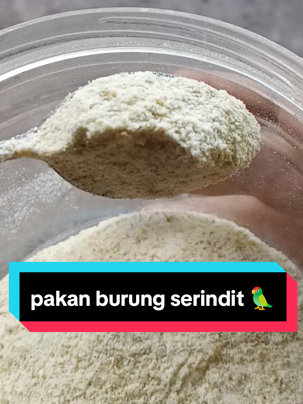 @PJr. EXPLORE