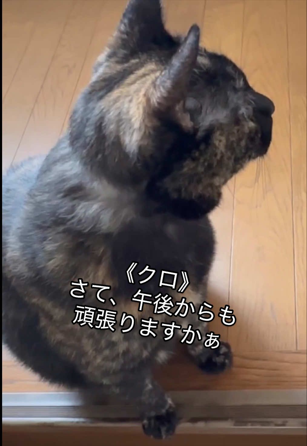 @聴々物語PROJECT