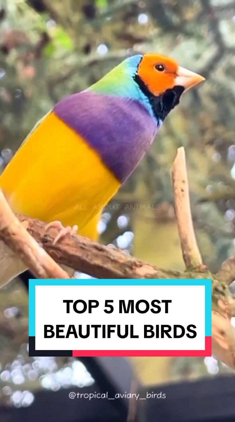 @ALL ABOUT ANIMALS
