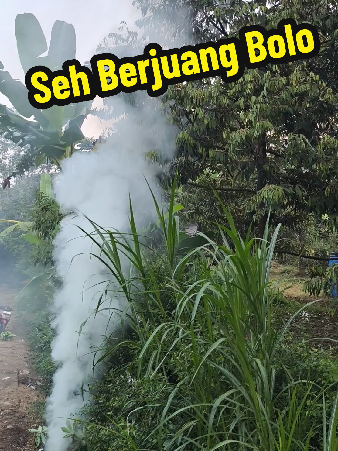 @Alas Durian Jepara