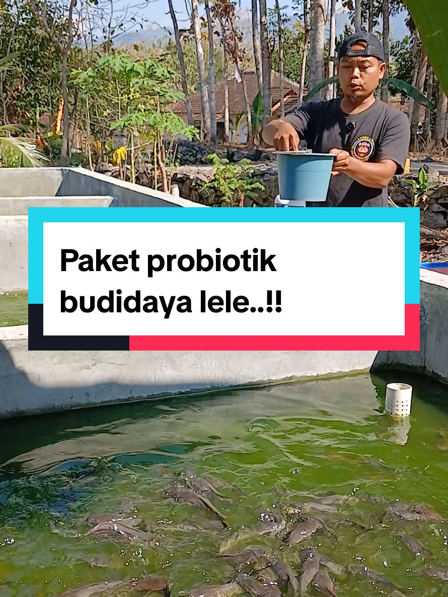 @Kang_Ewi
