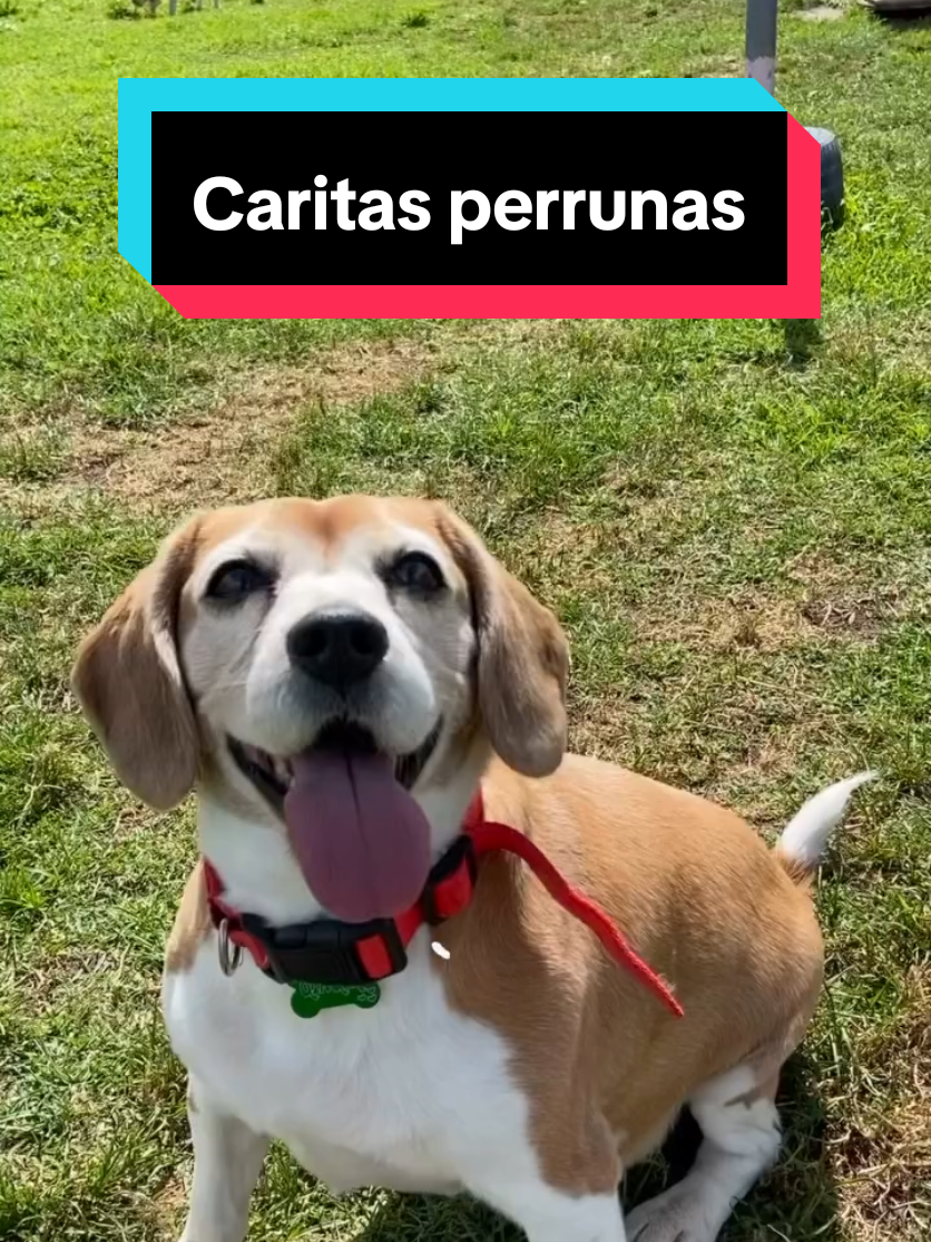 @Mascotear Guardería