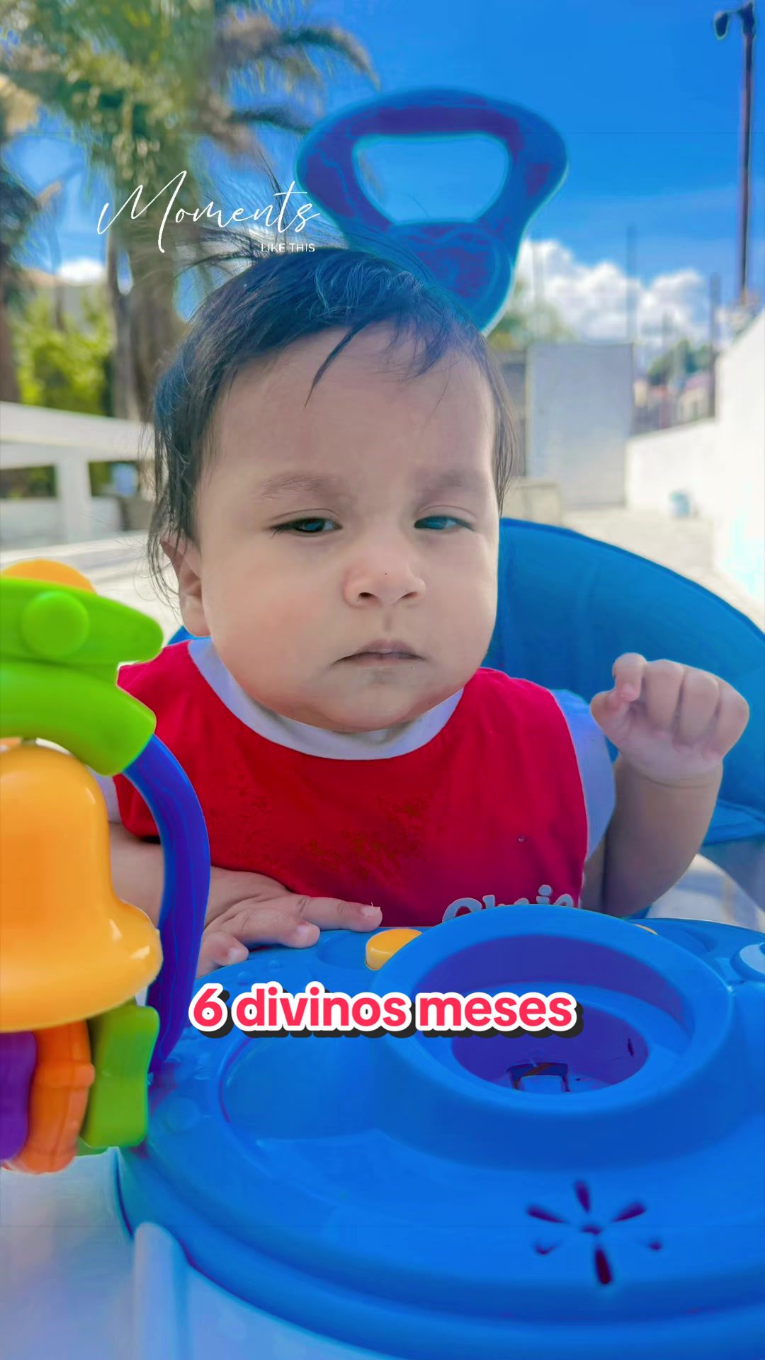 @Dulce Gomora