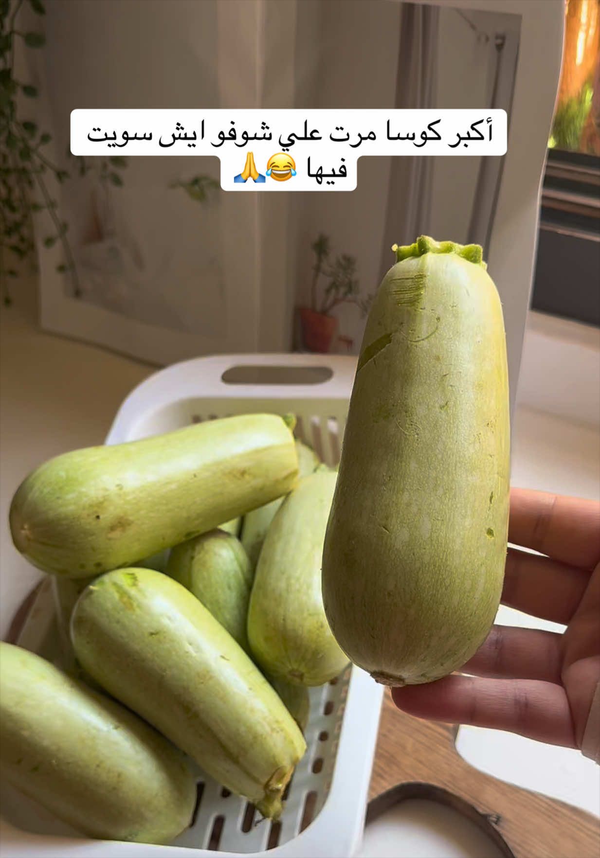 @وَرد سعــود 🌻تبـوك