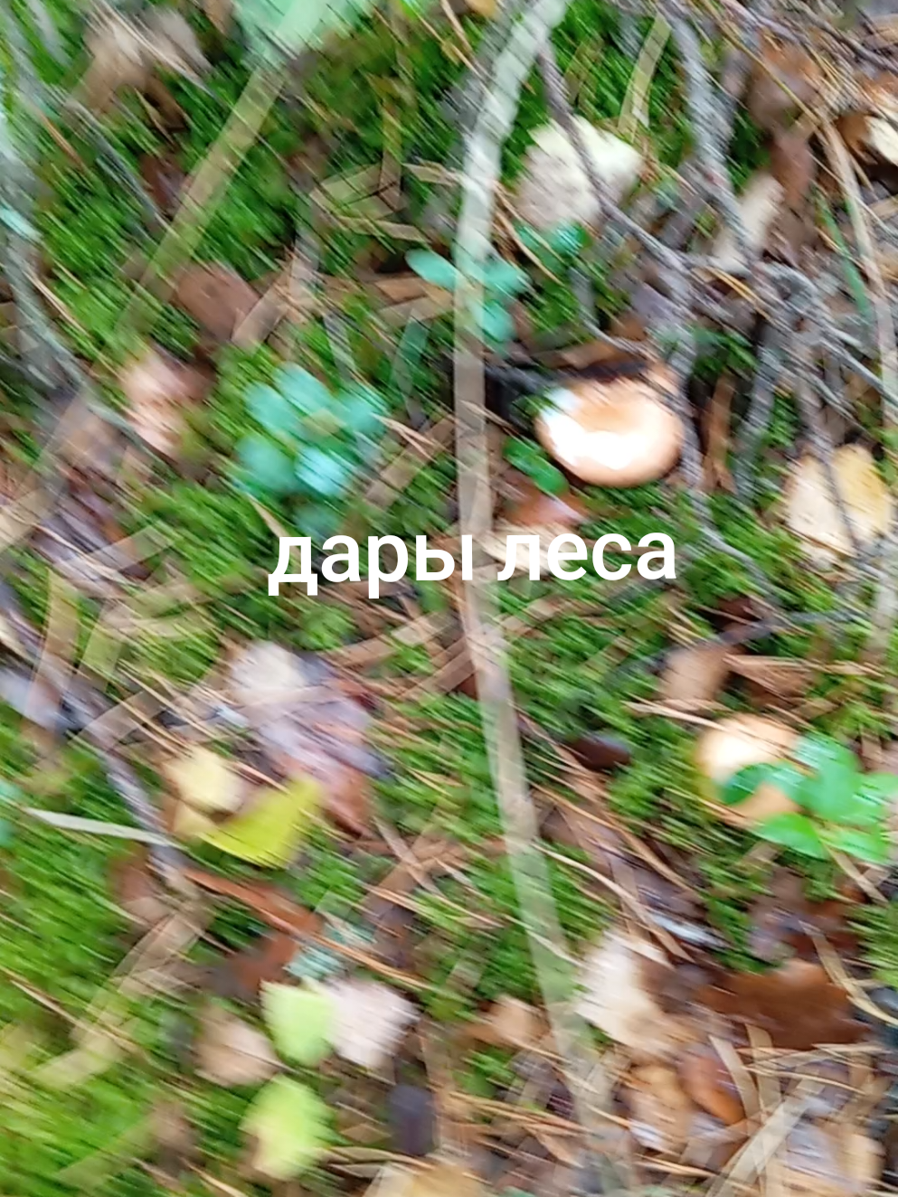 @Светлана Казымова