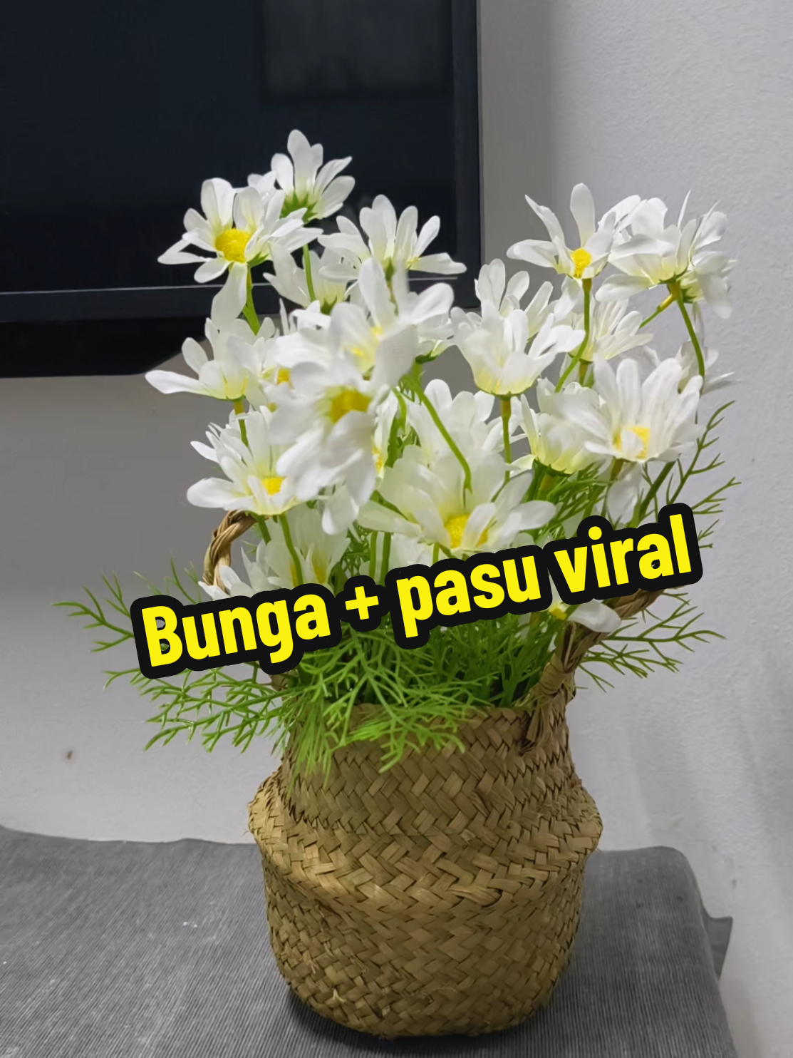 @CW Suzana