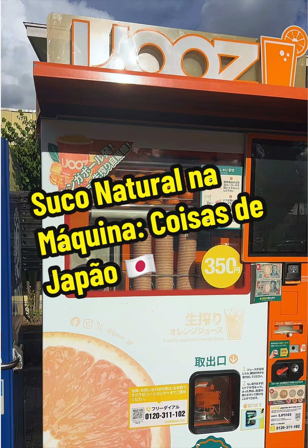 @Virginia Bernardini Matsukawa