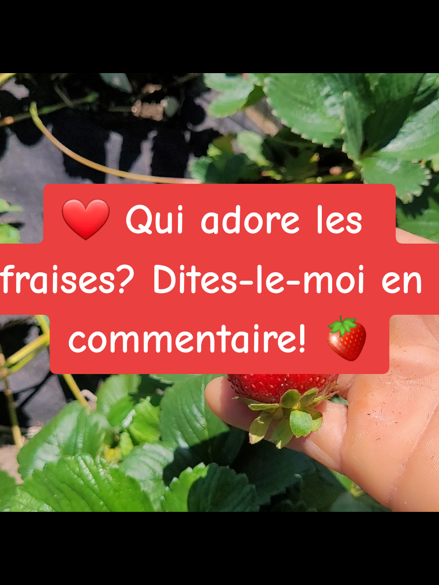 @Nathalie nutrition