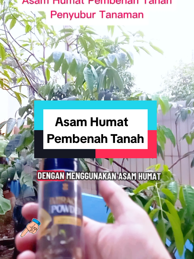 @Roslan.Robert