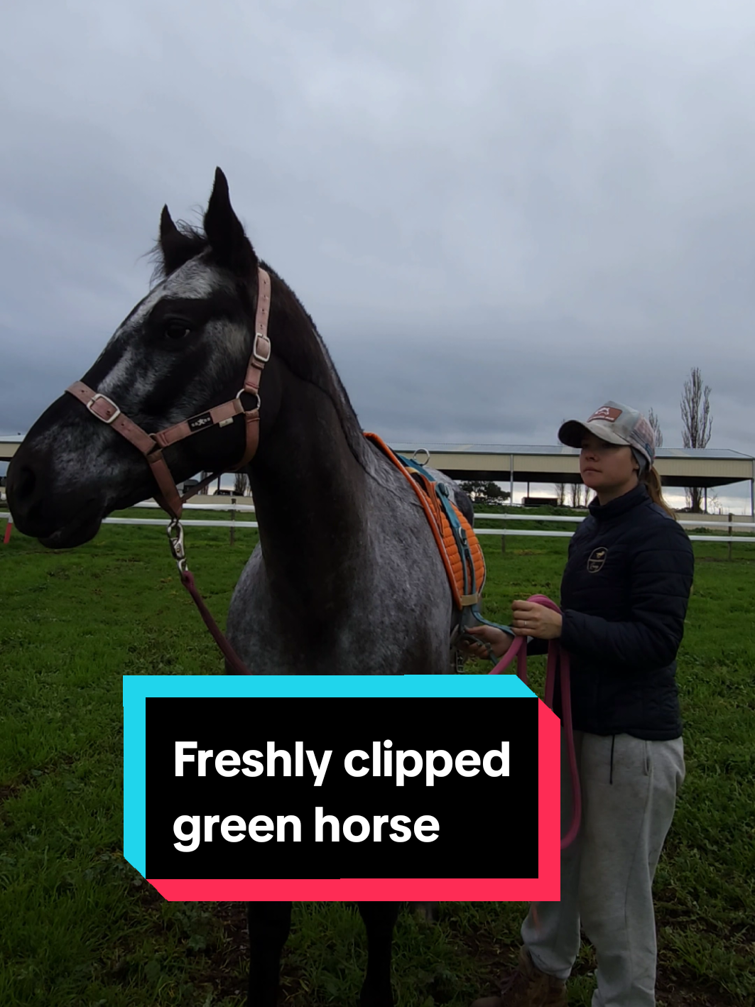 @Jess | Horse trainer