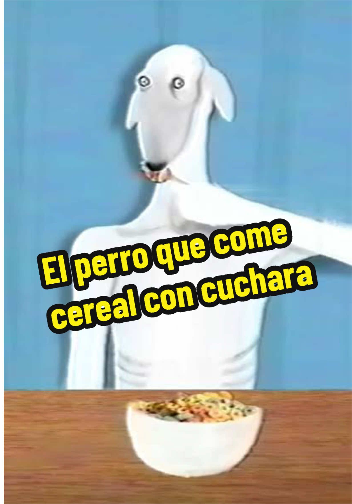 @Camila Ixchel