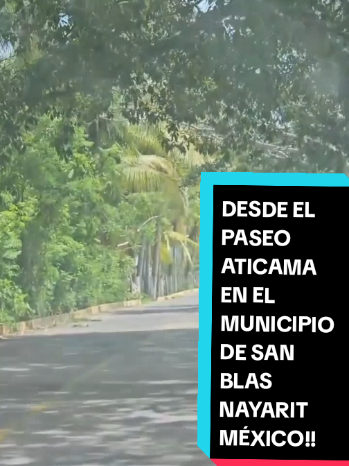 @Eliseo López