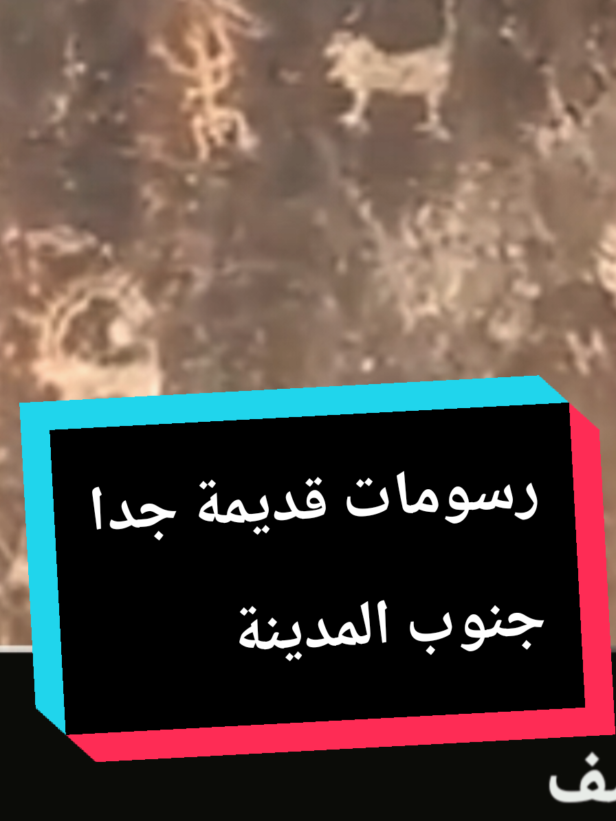 @سعود من المدينة المنورة 🛑