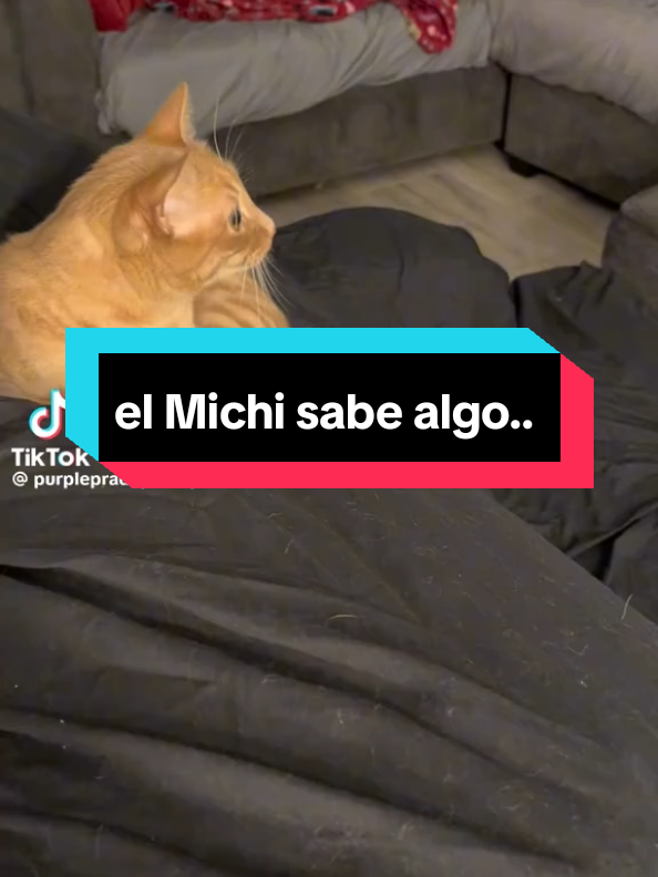 @Mi experiencia paranormal