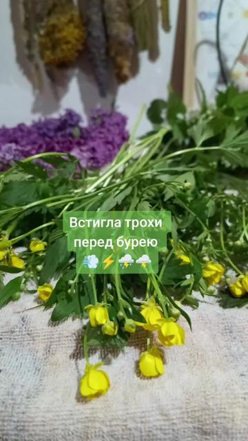 @Відьма_Цілитель_NestyArt🌛🌝🌜