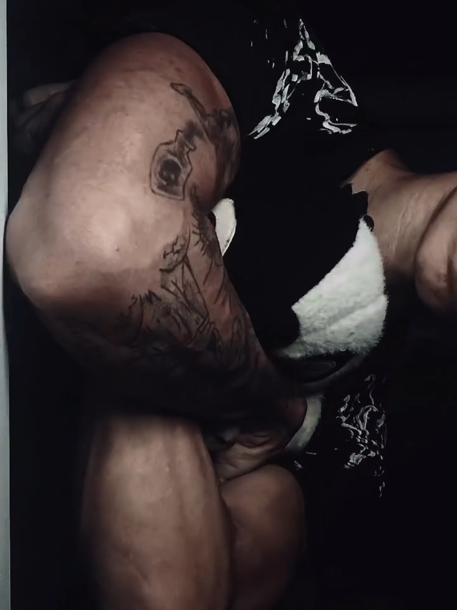 @luiismes